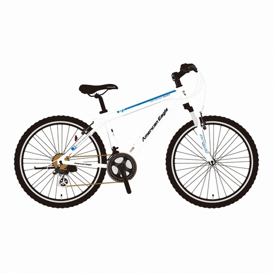 ���̸�� �Ƹ޸�ĭ�̱� BRAVE-620