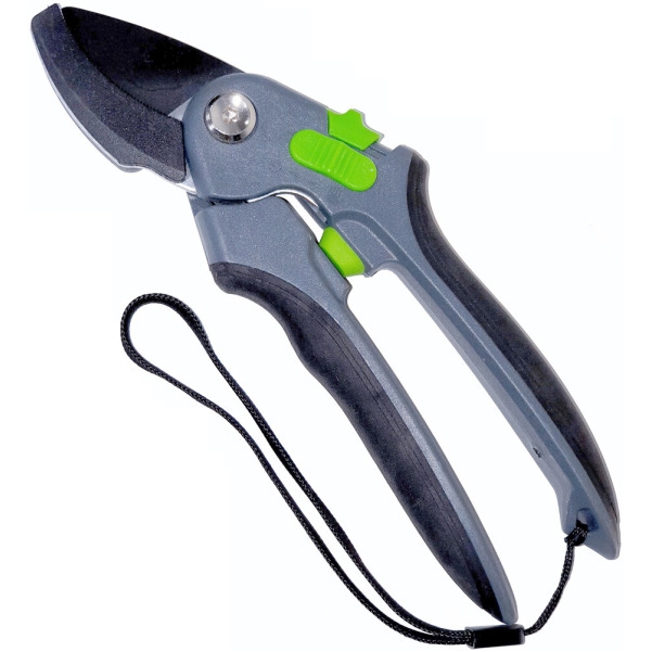 ������ �������� BS-DDG9