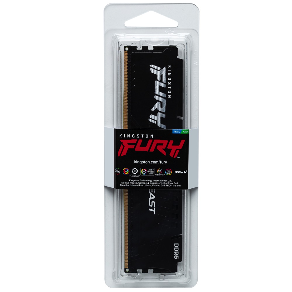 ŷ���� FURY DDR5-5600 CL36 Beast ���� �������