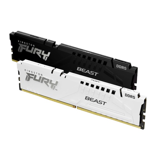 ŷ���� FURY DDR5-5600 CL36 Beast ���� �������