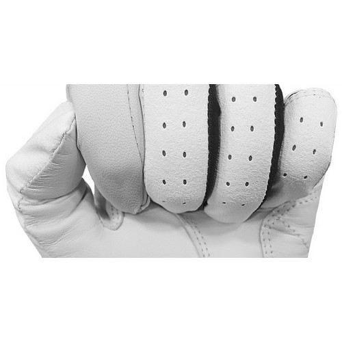 기어엑스 베이직 알파 반양피 골프장갑 오른손 (4개)_이미지