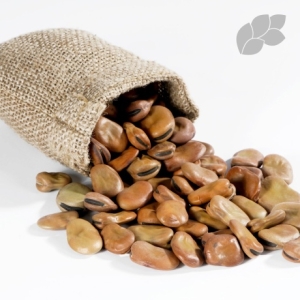 ���ع����� õ���ν��� �索/������/����/���ܹ�/���̼���ǳ�� �Ĺٺ� 500g+500g ��1kg