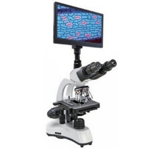 DBM-1000TM 생물현미경