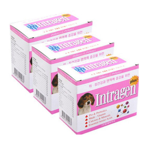 알켐코리아 인트라젠 플러스 영양제 60g (2g x 30p) (3개)_이미지