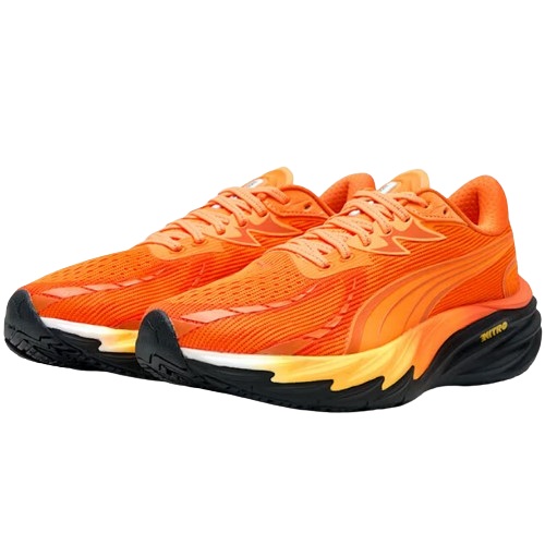 Ǫ�� X ��� �������� ���ν�Ƽ ����Ʈ�� 4 313476-01