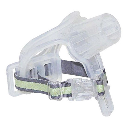 지오인터코리아 닥터썸 Large_이미지