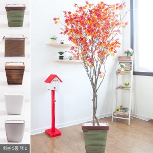 플라워트리 라인-홍단풍나무화분set 210cm  조화  FREOFT이미지입니다. 누르면 해당 게시물로 새창이동합니다.