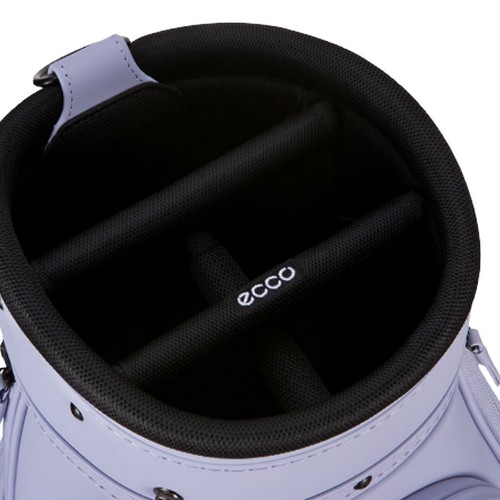 에코 2025 위켄드 트롤리 캐디백 3.0 EB5S012-00255FR_이미지