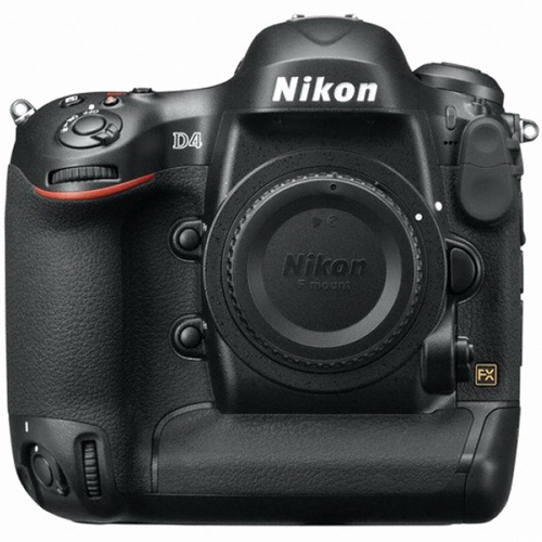 ���� D4 �ٵ�