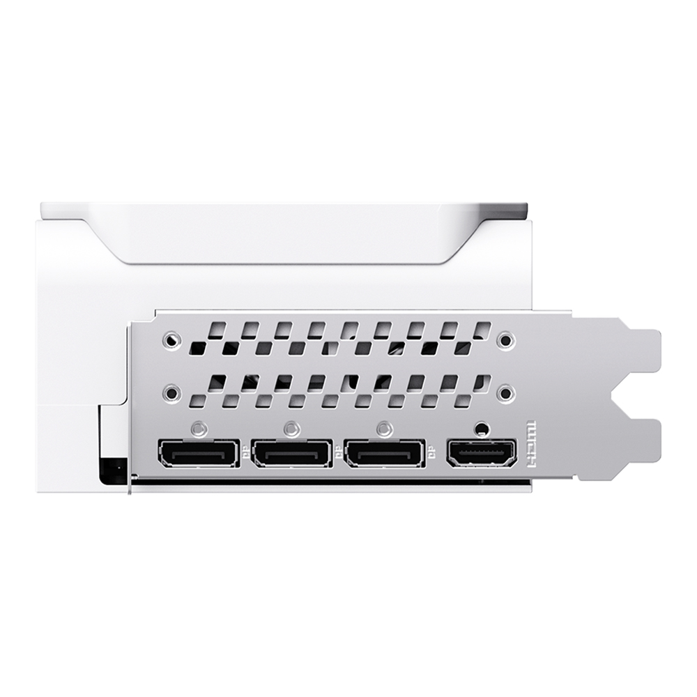 MANLI 지포스 RTX 5080 Polar Fox OC V2 D7 16GB 대원씨티에스_이미지