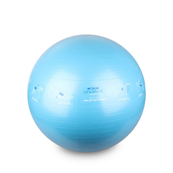 업앤쉐이프 스티커 짐볼 블루 65cm_이미지