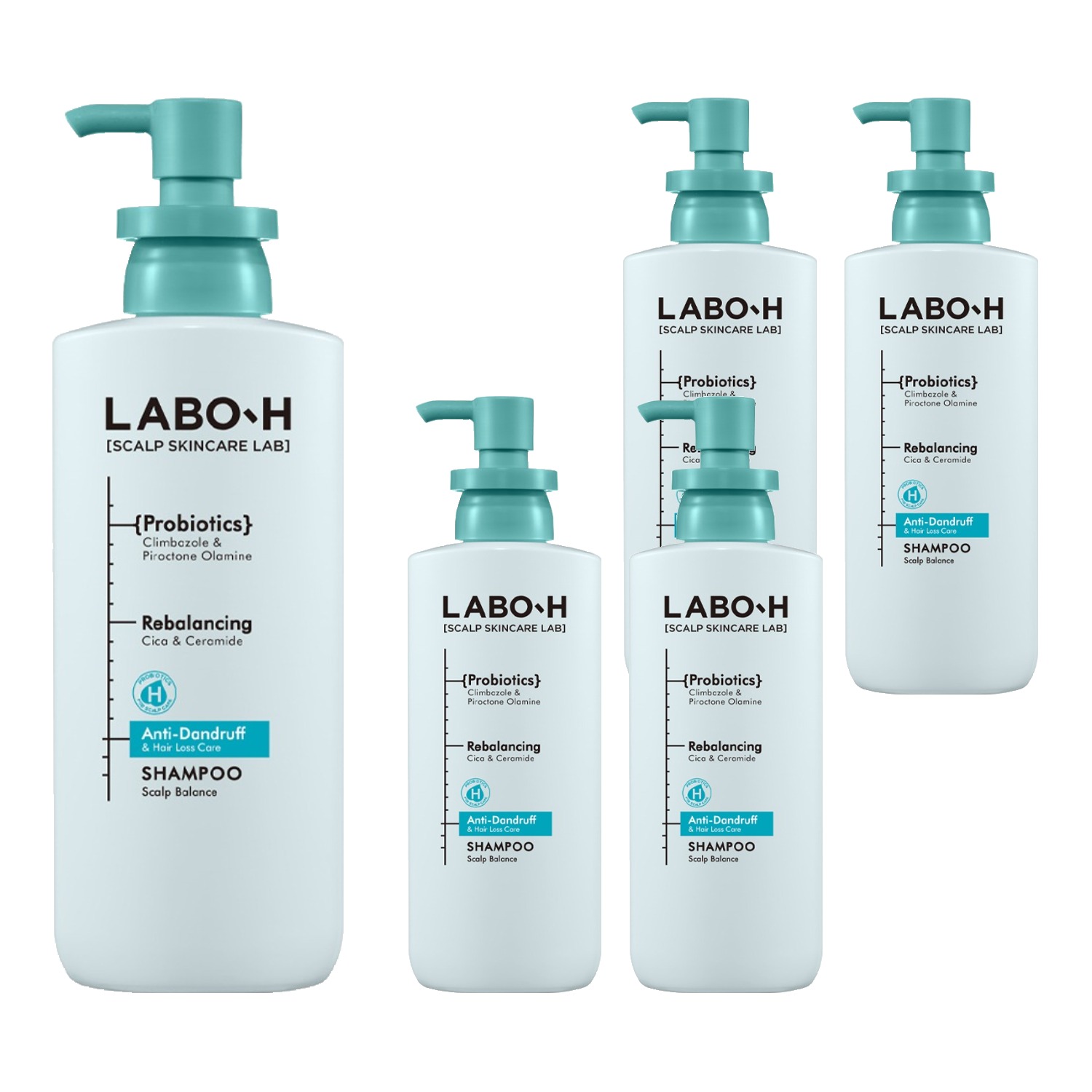 라보에이치 댄드러프 클리닉 샴푸 400ml (5개)_이미지