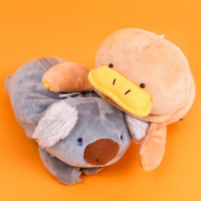 ���� �����ʱ��� �������� - �����ʱ��� �ھ˶� ���� ���� ���� ĳ���� ��