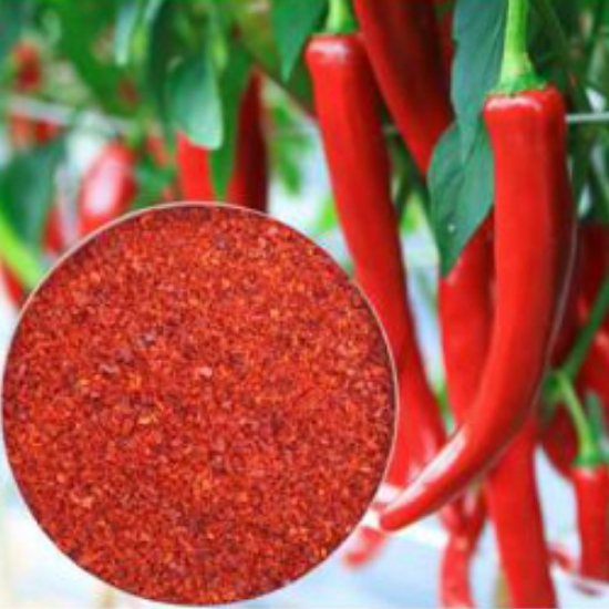 다산식품 24년 경북영양 태양초고추 고춧가루 김치용 보통맛 500g (1개)_이미지