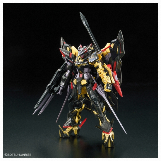 �ݴ��� ��[RG] 1/144 �Ǵ� �Ʈ���� ��� ������ �Ƹ��� �̳�