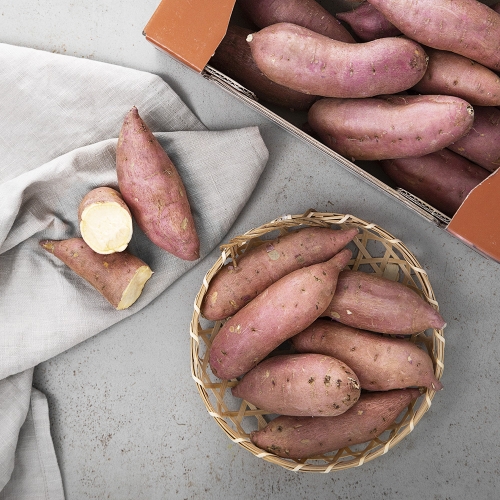 우농영농조합법인 곰곰 맛있는 호박고구마 1.5kg (1개)_이미지
