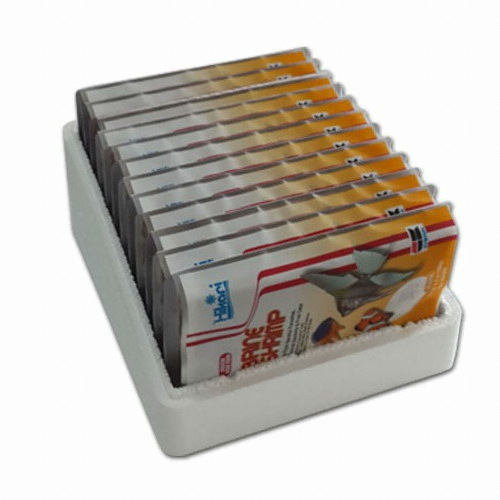 히카리 히카리 브라인쉬림프  12팩 1BOX_이미지