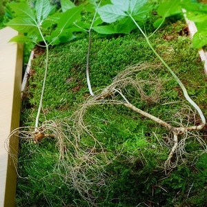 �ѱ��λ� �������  9202  �����  �����  8�� �̻� 3�Ѹ� + �ݺ��ڱ�