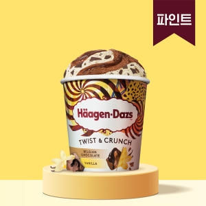 아이스크림 파인트_초코