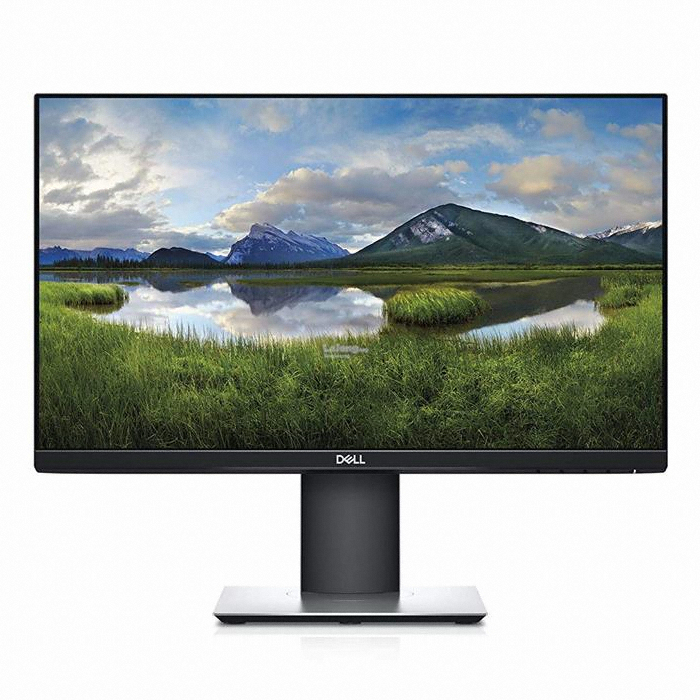 DELL P2419H (중고)