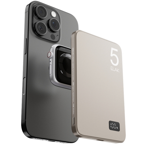 ���� �Ƽ����� �������͸� DS-21 5000mAh