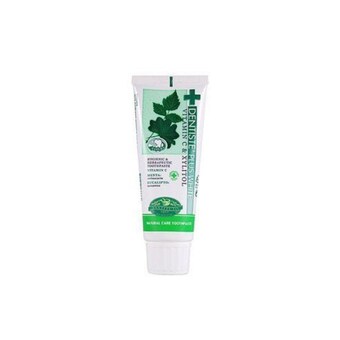 <b>덴티스테</b> 플러스 화이트 치약 100g