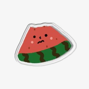 이한피플 아칸 BINA 수박 슬픔 아크릴 스마트톡_이미지