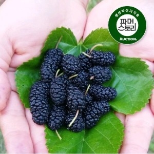 2025 전북 정읍 김수미님의 햇오디 5kg