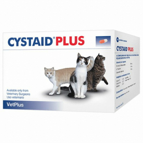 벳플러스 케닌 시스테이드 30p (1개)