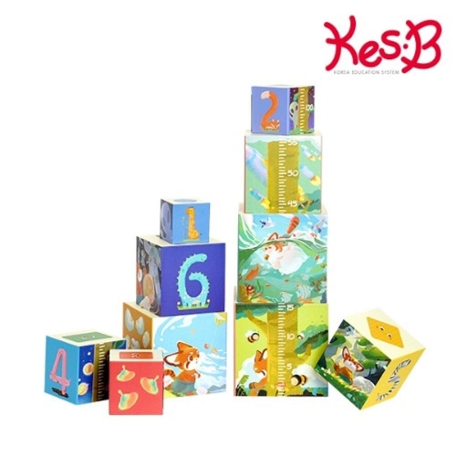 캐스B 뉴스마트 탑쌓기_이미지