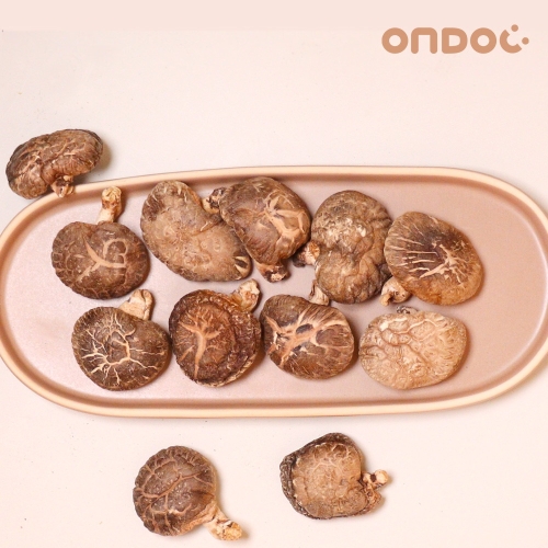 온도씨 참나무 표고버섯 동고 소 200g (1개)