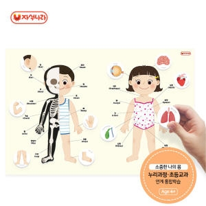 자석이 붙는 인체 포스터 나의 몸