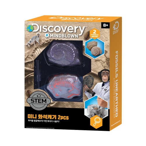  디스커버리-미니 화석캐기 2pcs