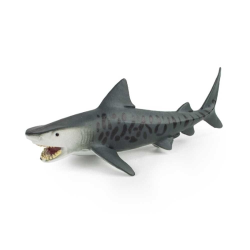 모모스 배암상어 피규어_이미지