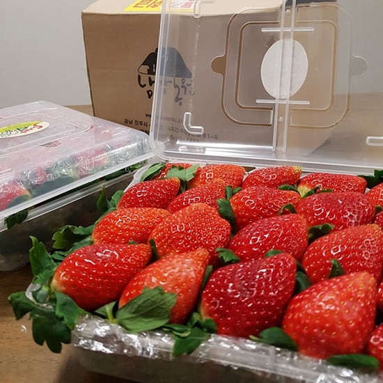 파머스토리 경남 진주 정만열님의 유기농 딸기 2kg (1개)