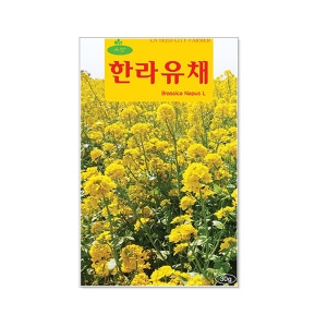 영농사 한라 유채 씨앗 30g_이미지