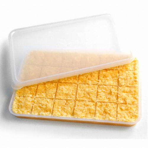  실리쿡 냉장고수납 마늘칸칸 소 [10개]