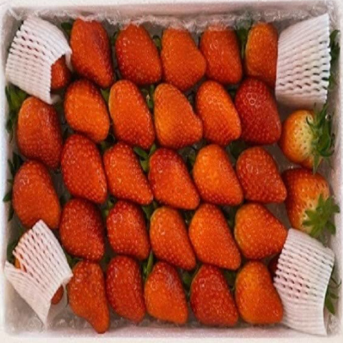 논산딸기 달콤한 설향 생딸기 750g_이미지