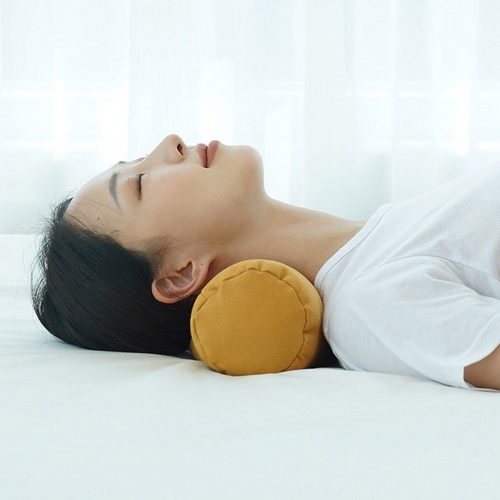 안녕거북이 경추베개