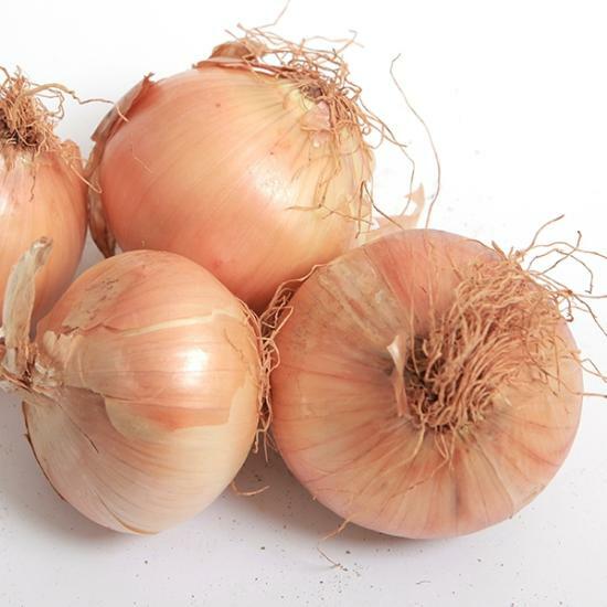 팜쿡 단단하고 신선한 국내산 양파 특 5kg
