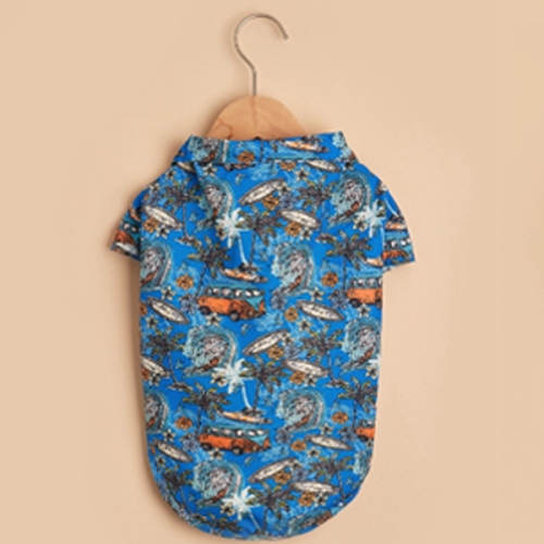 [�Ҹ�] 1+1 �Ͽ��� ��Ÿ�� �������� ���� ���� ī