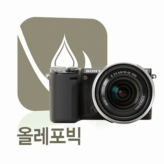 AGF SONY NEX-5R/5T용 퓨어메이트 올레포빅 액정보호필름