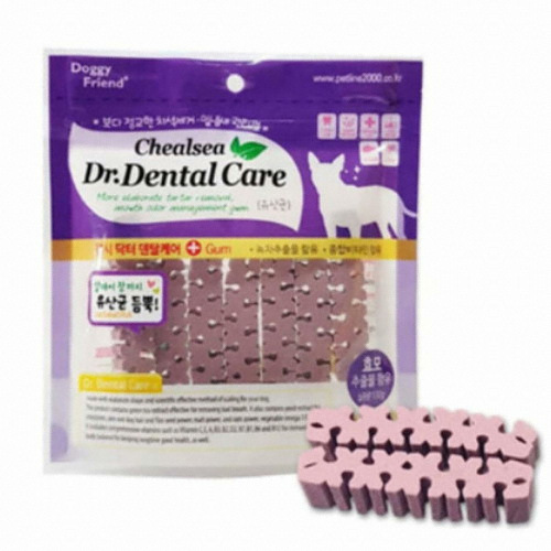 도기프렌드 첼시 닥터 덴탈케어 유산균 100g (2개)_이미지