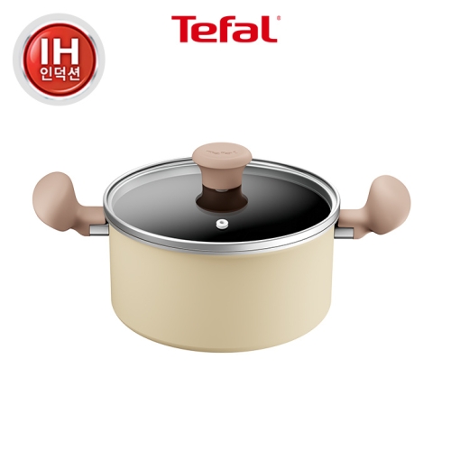 테팔 IH 티타늄 데이지 양수냄비 (20cm)