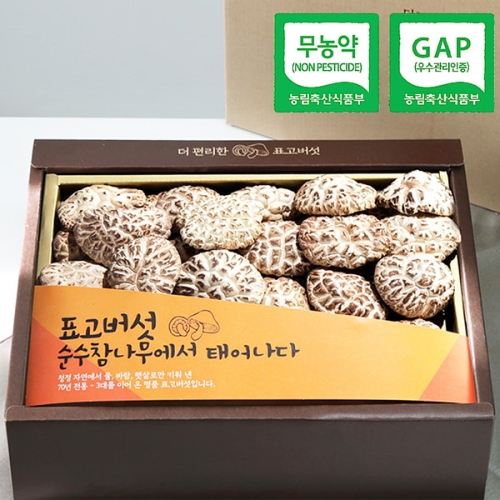 경성표고버섯농장 경성표고버섯 천자고 백화 /참나무원목표고버섯_이미지