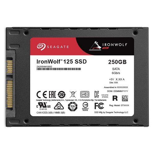 Seagate IronWolf 125 SSD 중고 (250GB)_이미지