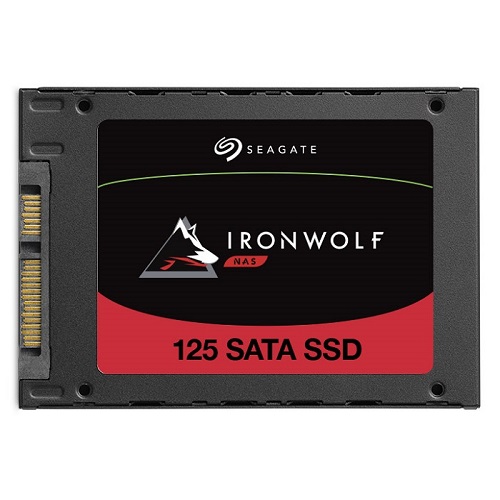 Seagate IronWolf 125 SSD 중고 (250GB)_이미지
