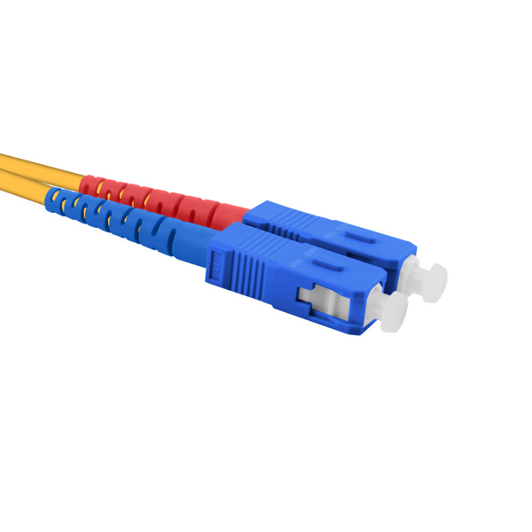 �������������ͽ� �ؽ�Ʈ SC-SC �̱۸�� �� ��ġ�ڵ� ���̺�