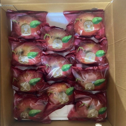 산지애 씻어나온 꿀사과 3kg 1box 중대과 / 경북산 미시마 봉지 세척사과 당도선별 12brix