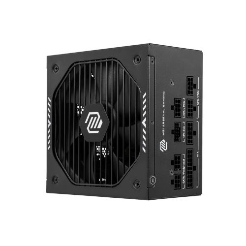 MSI MAG A750GLS 80PLUS��� Ǯ��ⷯ ATX3.1